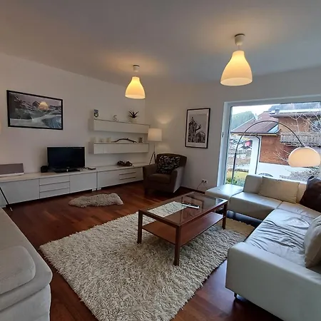 Falcon Kitzsteinhorn - Steinbock