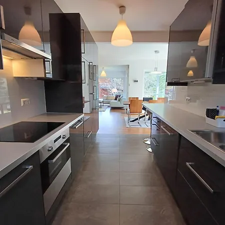 Falcon Kitzsteinhorn - Steinbock 펜션 *