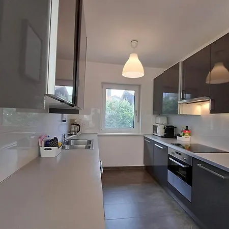 Falcon Kitzsteinhorn - Steinbock 카프룬