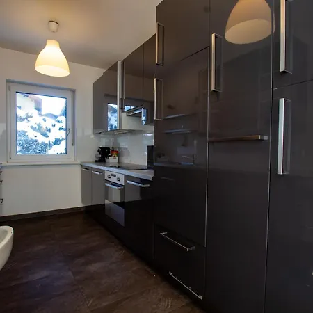 Tatil Evi Falcon Kitzsteinhorn - Steinbock *