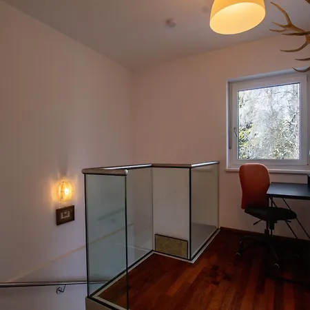 Falcon Kitzsteinhorn - Steinbock